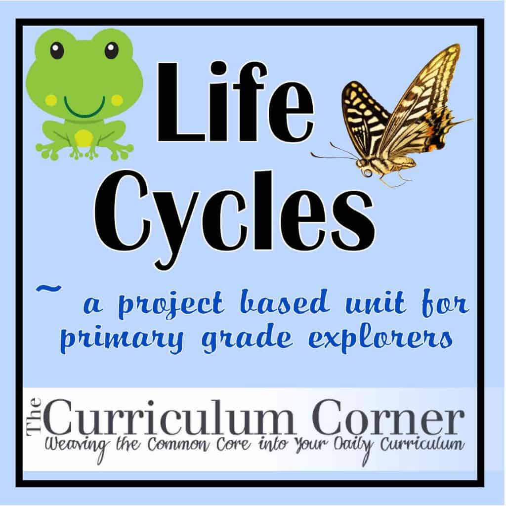 life-cycles-the-curriculum-corner-123