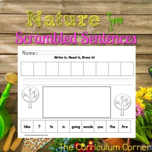 FREE Nature Scrambled Sentences Literacy Center from The Curriculum Corner 2