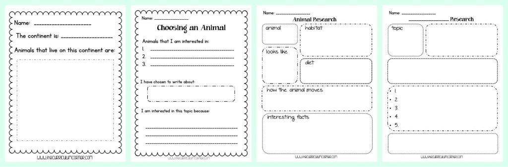 FREE Animal Research Writing Unit of Study from The Curriculum Corner | Researching Animals