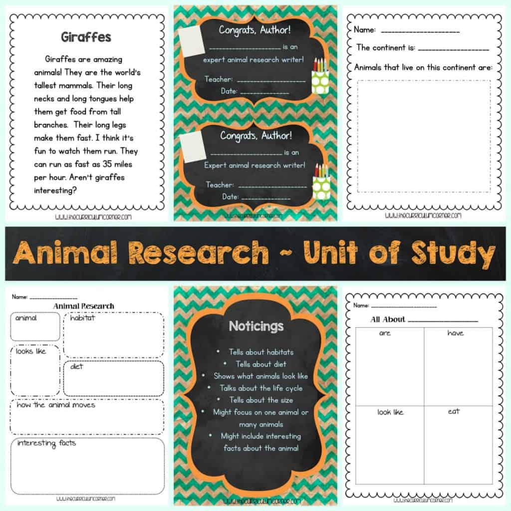 free-animal-research-writing-unit-of-study-from-the-curriculum-corner