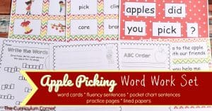 Apple Word Work Set