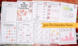 FREE Woodland Animals Print & Go Pages from The Curriculum Corner