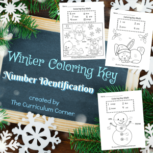 FREE Winter Coloring Key Number Identification Math