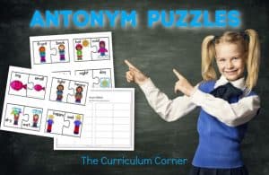 antonym puzzles