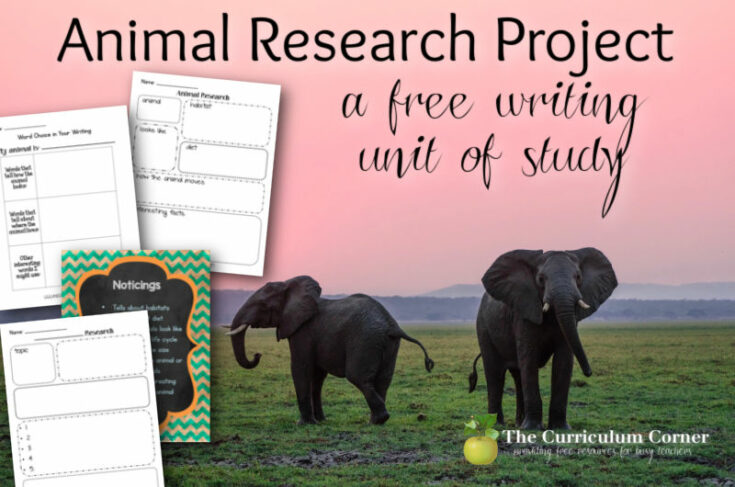 animal research project example