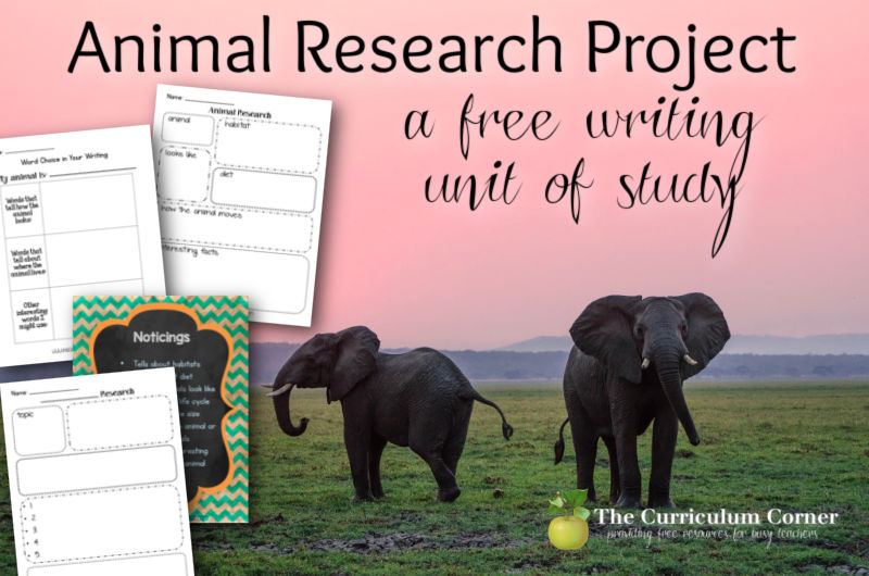 Free animal research project for your writing workshop
