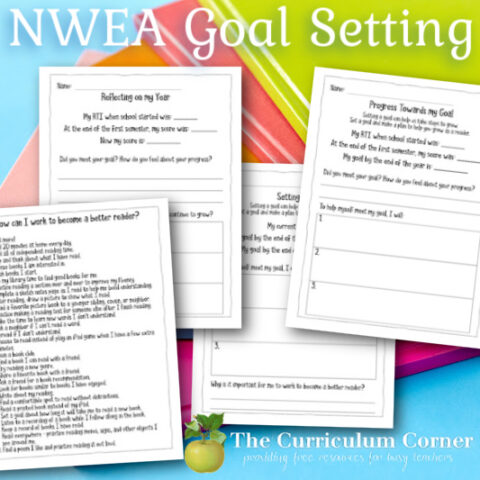 Blog Archives - The Curriculum Corner 123