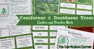 Deciduous & Coniferous Trees Science Informational Text Activities from The Curriculum Corner FREE