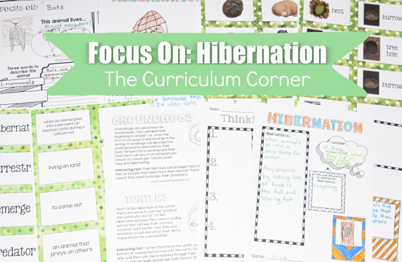 These free hibernation materials have been created to help teachers work with their fourth and fifth grade science students.